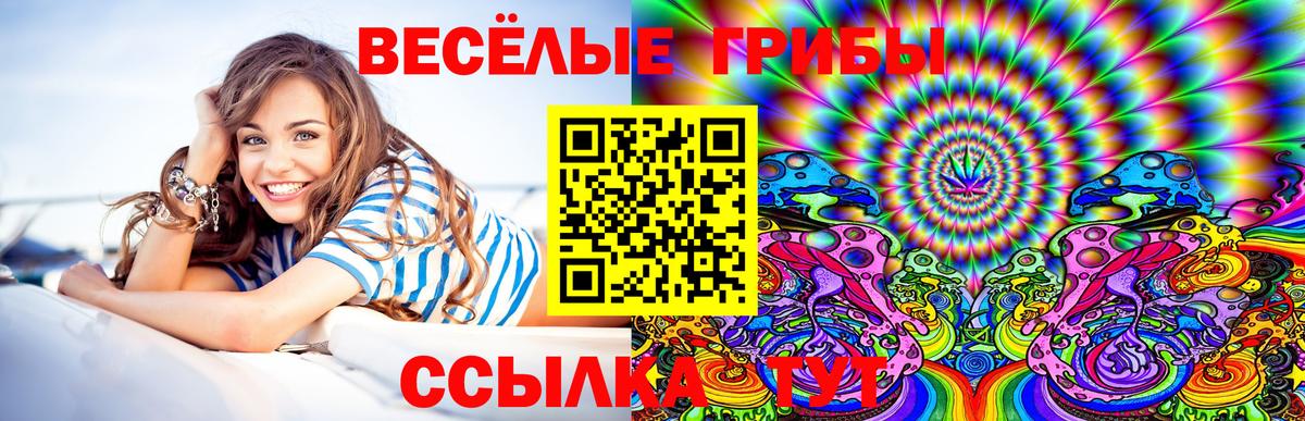 наркота  Вход с VPN  Ртищево  Галлюциногенные грибы GOLDEN TEACHER 